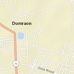 Dumraon Street Map