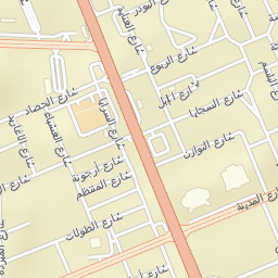 Zayed City Street Map