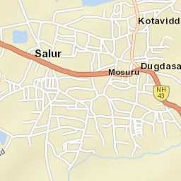 Salur Street Map