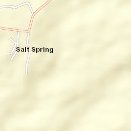 Salt Spring Street Map
