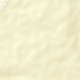 Bull Savannah Street Map