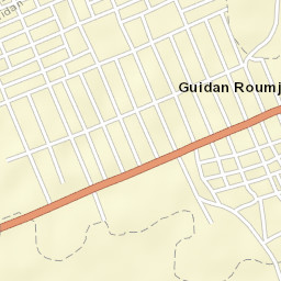 Guidan Roumdji Department Street Map