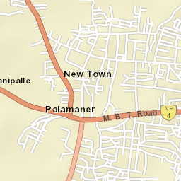 Palmaner Street Map