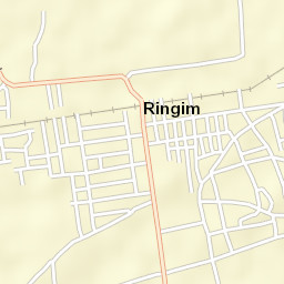 Ringim Street Map