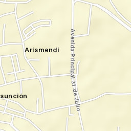 La Asunción Street Map