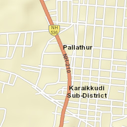 Pallattur Street Map