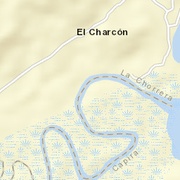 Playa Leona Street Map