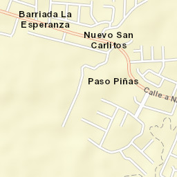 Nuevo San Carlitos Street Map