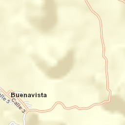 Buenavista Street Map