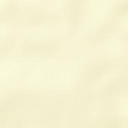 Kabupaten Nagan Raya Street Map