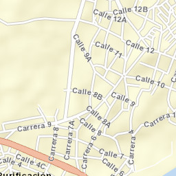 Purificación Street Map