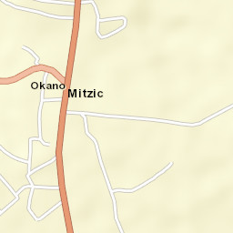 Mitzic Street Map
