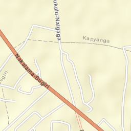 Bugiri Street Map