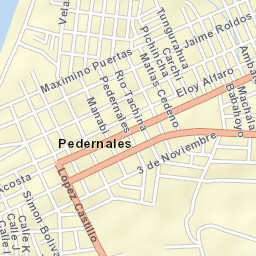 Pedernales Street Map