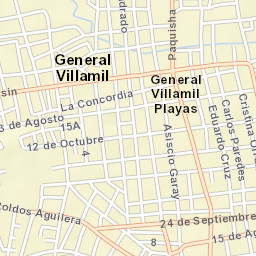 Playas Street Map