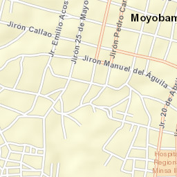 Moyobamba Street Map