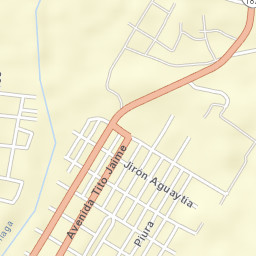 Tingo María Street Map