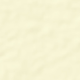 Ascensión Street Map