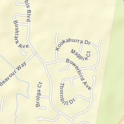 Eli Waters Street Map