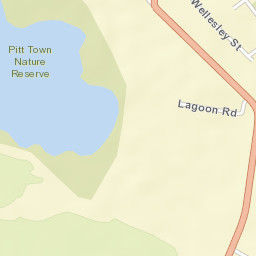 Pitt Town Street Map