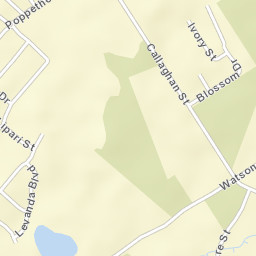 Jackass Flat Street Map