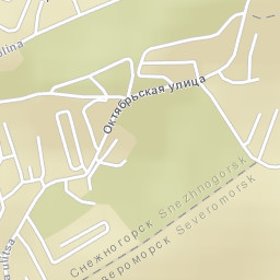 Snezhnogorsk Street Map