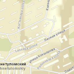 Verkhnetulomskiy Street Map