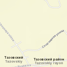 Tazovskiy Street Map