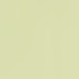 Beaver Alaska Street Map