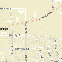 College Alaska Street Map