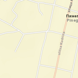 Pinega Street Map