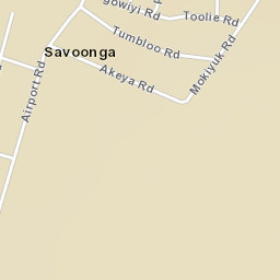 Savoonga Alaska Street Map