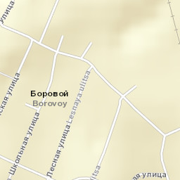 Borovoy Street Map