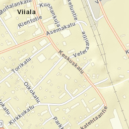 Viiala Street Map