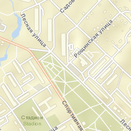 Svetogorsk Street Map