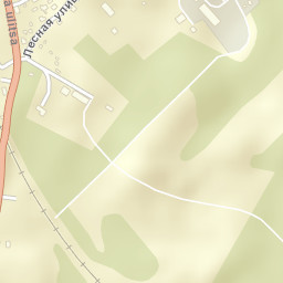 Lesogorskiy Street Map