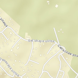 Il’ichëvo Street Map