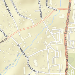 Zelenogorsk Street Map