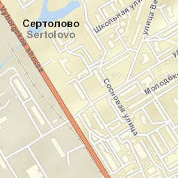 Sertolovo Street Map
