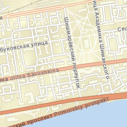 Novaya Derevnya Street Map