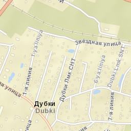 Bol’shaya Izhora Street Map