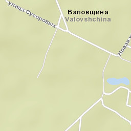 Priladozhskiy Street Map