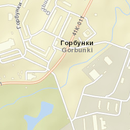 Gorbunki Street Map