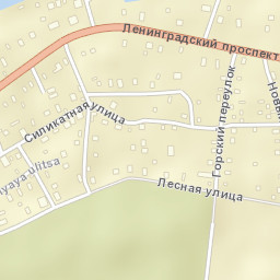 Pavlovo Street Map