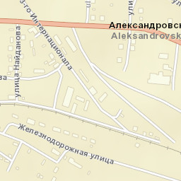Aleksandrovsk Street Map