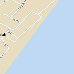 Togiak Alaska Street Map