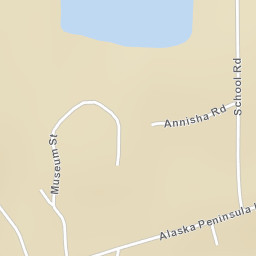 Naknek Alaska Street Map