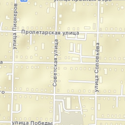 Pestovo Street Map