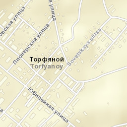 Torfyanoy Street Map