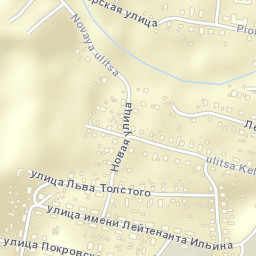 Lesnoye Street Map